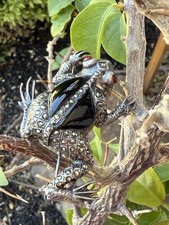 Vintage frog brooch for sale  Roseville