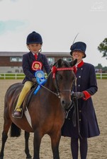 Beau cheval lead for sale  SWANSEA