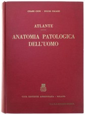 Atlante anatomia patologica usato  Villarbasse