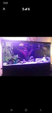 Gallon aquarium. fx6 for sale  Owensboro
