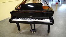 Yamaha 2010 c3s for sale  Coral Springs