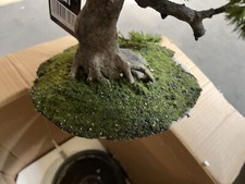 kunstlicher bonsai gebraucht kaufen kunstlicher bonsai gebraucht kaufen Hannover