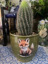 Large cactus free for sale  CINDERFORD