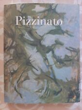 Armando pizzinato goldin usato  Villorba