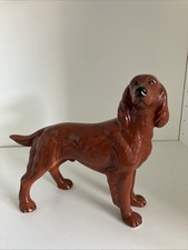 Irish red setter for sale  BIRMINGHAM
