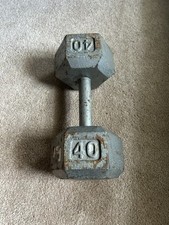 40 lb dumbbell for sale 40 lb dumbbell for sale Suffern