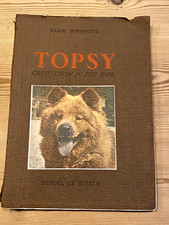 Rare chow chow for sale  WARRINGTON
