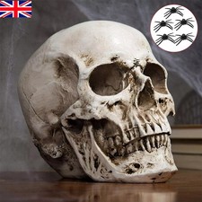 Human skull replica for sale  LEICESTER