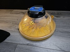 turkey hatching eggs for sale turkey hatching eggs for sale WALSALL