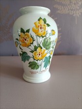 Vintage portmeirion botanic for sale  COVENTRY