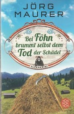 Föhn brummt dem gebraucht kaufen  Isernhagen