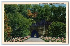 Usado, Cartão postal c1920's Black Hand Tunel Rock Scene Forest perto de Newark Ohio OH não publicado comprar usado  Enviando para Brazil