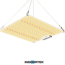 Indoortek quantum board usato  Pomezia