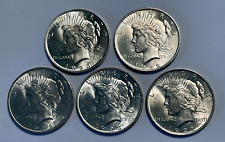 Lot silver peace for sale  Longwood