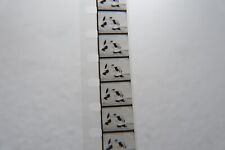 Film animation poule d'occasion  France