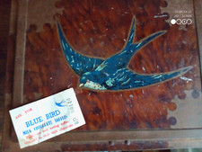 Large blue bird for sale  UK