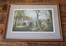Bridge river trees for sale  CALLINGTON