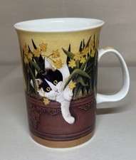 Ashdene naughty kitty for sale  Steger
