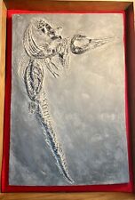 Large mixosaurus panxianensis for sale  Fort Lauderdale