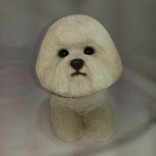1988 bichon frise for sale  Palm Springs