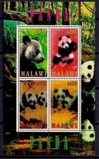 Panda orso animali usato  Trambileno