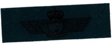 Unknown airborne wings for sale  Navarre