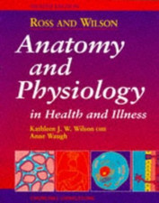 Anatomy physiology health for sale Anatomy physiology health for sale  UK