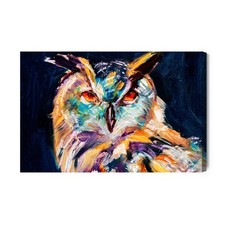 Obraz na płótnie Zwierzęta Sowa kolorowa Premium Canvas na sprzedaż  PL