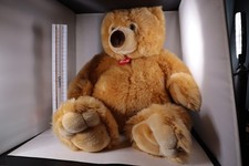 Trudi ettore giant for sale  Glendale
