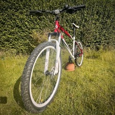 Superb kona nunu for sale  LEEDS
