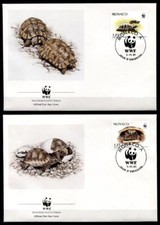 Wwf schildkröten griechische gebraucht kaufen  Düsseldorf