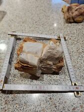 Aquarium deko steine gebraucht kaufen  Kolbermoor