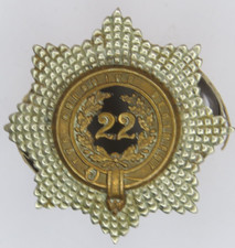 22nd regiment foot for sale  ELLESMERE