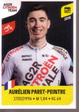 Sticker panini tour d'occasion  Bordeaux-