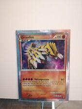 Groudon shiny 2011 usato  Sinalunga