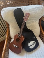 Ukulele usato  Vibo Valentia