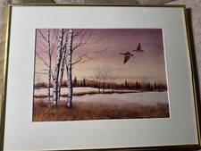 Cece tucker mallards for sale  Langhorne