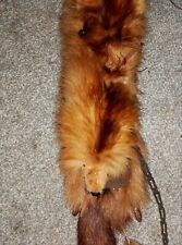 Taxidermy boa fur for sale  CREDITON