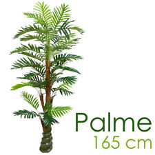 Palme cycuspalme kunstpflanze gebraucht kaufen  Schwalmstadt