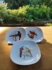 Set piatti quadri usato  Oggiono