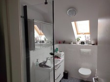 Glastrennwand dusche basano gebraucht kaufen  Weiterstadt