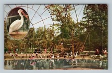 Cartão postal vintage de Nova York NY, Flying Cage, NY, Parque Zoológico, Nova York comprar usado  Enviando para Brazil