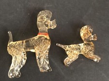 Miniaturen pudel welpe gebraucht kaufen  Schrozberg