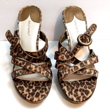 Stage leopard daisy for sale  Winchester