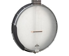 Gold tone acoustic for sale  Winchester