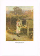 Rabbit hutch helen for sale  DEREHAM