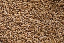 Gambrinus honey malt for sale  Sandusky