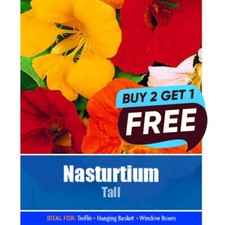 Nasturtium tall flower for sale  MANSFIELD