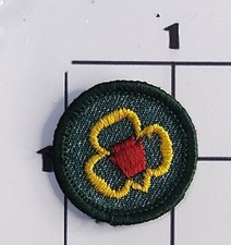 Girl scout troop for sale  Las Vegas