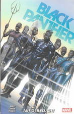 Black panther 2023 gebraucht kaufen  Darmstadt